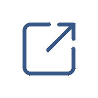 ico link esterno color